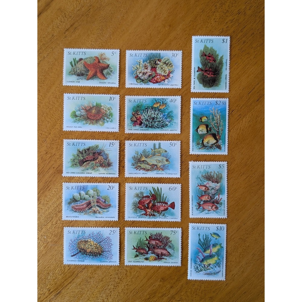 ST KITTS —SCOTT 139-152 —1984 MARINE LIFE SET — MNH — SCV $34